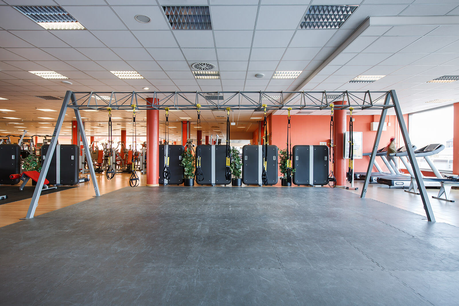 Berlin American Fitness